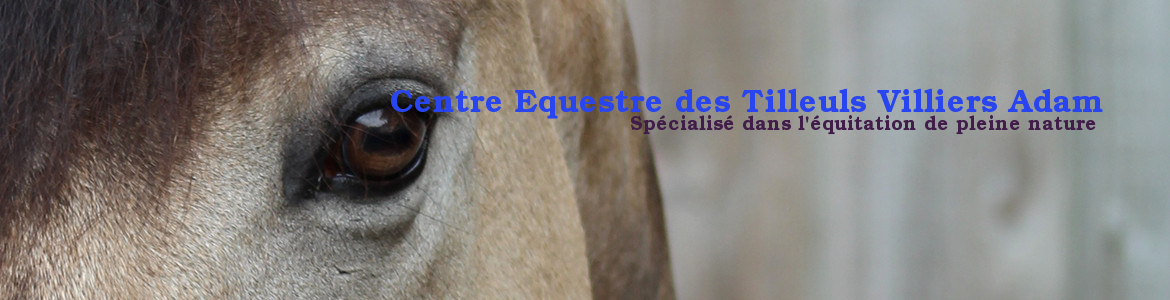 Centre Equestre des Tilleuls Villiers Adam